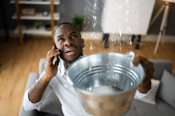 Best Ceiling water damage repair  in Mount Vista, WA