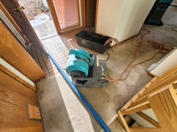 Best 24/7 water damage repair  in Mount Vista, WA