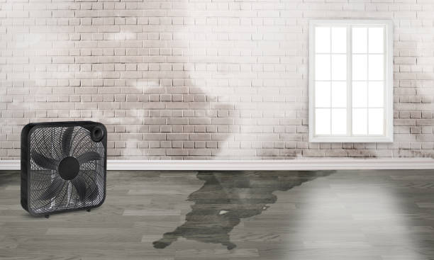 Water damage restoration insurance claims in Mount Vista, WA