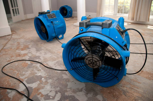 Best Residential water damage restoration  in Mount Vista, WA