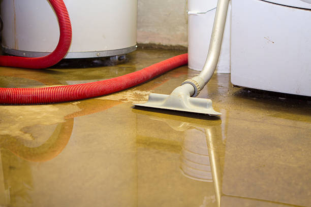 Best Mold removal after water damage  in Mount Vista, WA