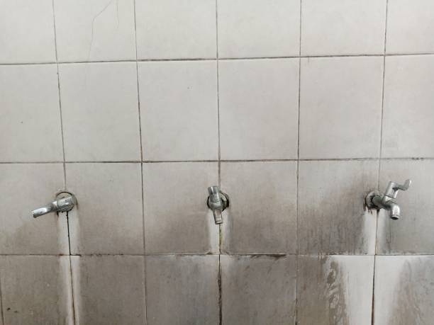 Best Carpet water damage restoration  in Mount Vista, WA