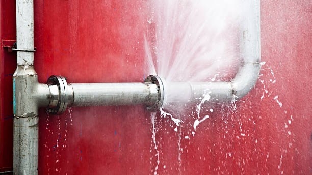 Best Water damage restoration insurance claims  in Mount Vista, WA