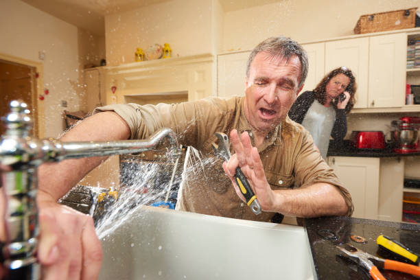 Best Professional water damage repair  in Mount Vista, WA